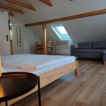 Loft Apartment Karlovy Vary Ngoại thất bức ảnh