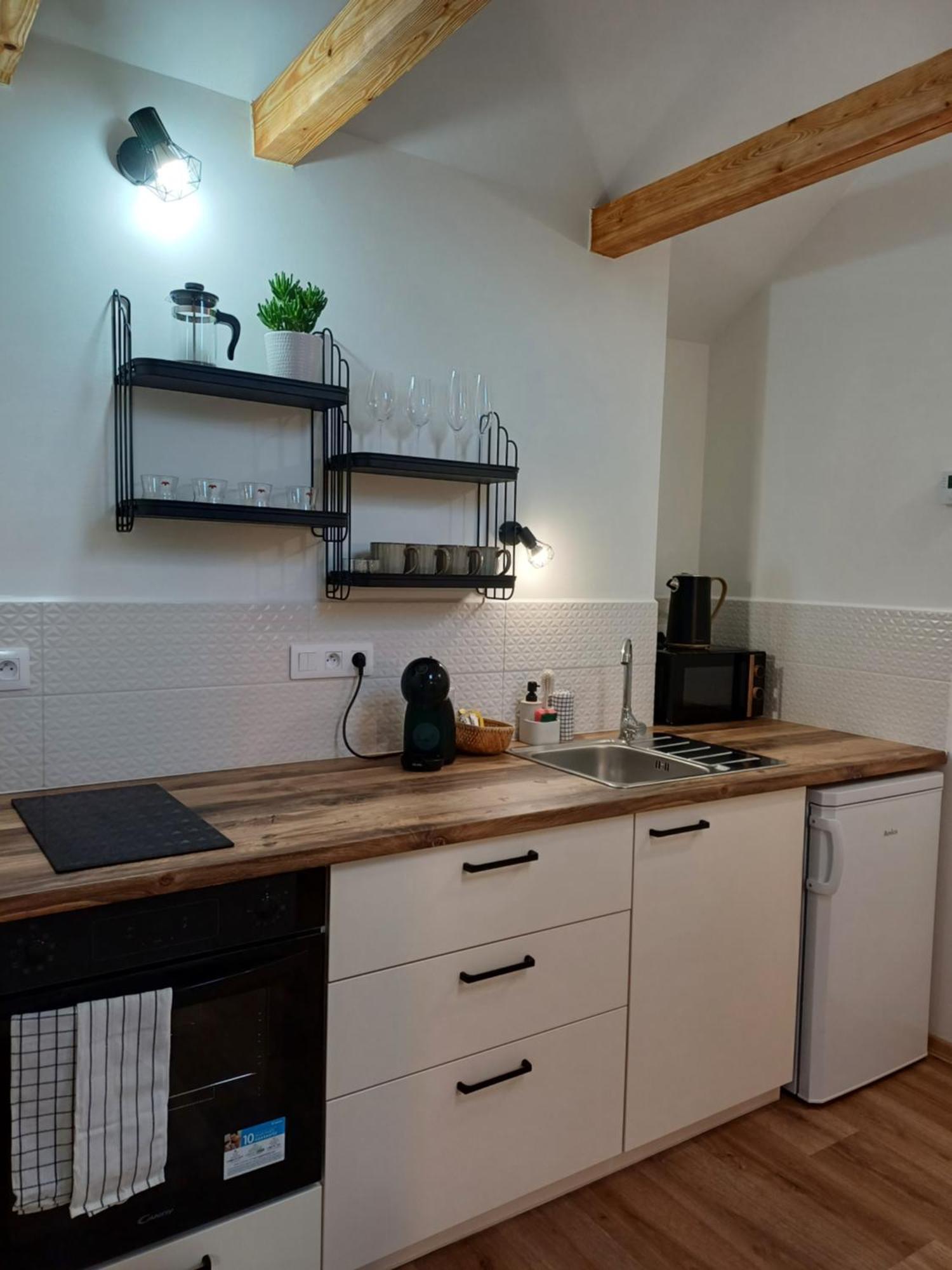 Loft Apartment Karlovy Vary Ngoại thất bức ảnh